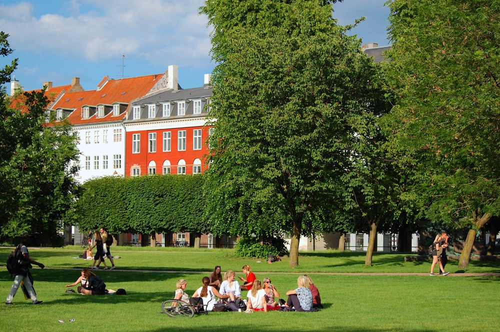 Store træer i baggrunden i Kongens Have i København