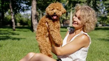 En smilende kvinde med krøllet blondt hår sidder på græsset i en park og holder en glad, krøllet brun hund op. Træer og sollys er i baggrunden.