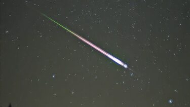 Stjerneskud på mørk himmel med træer i forgrunden