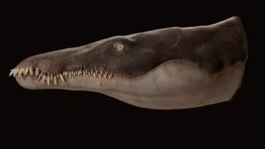 lorrainosaurus rekonstruktion