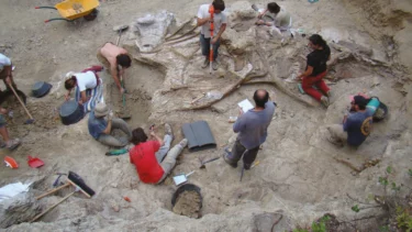 palæontologer udgraver ny gigantisk dinosaur i spanien
