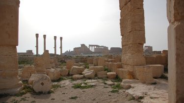 Palmyra i den syriske ørken.