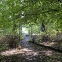 Park i Amsterdam