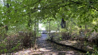Park i Amsterdam