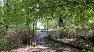 Park i Amsterdam