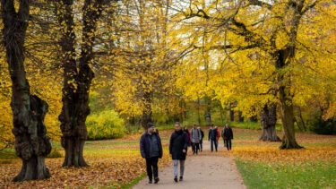 Mennesker går i park i efteråret