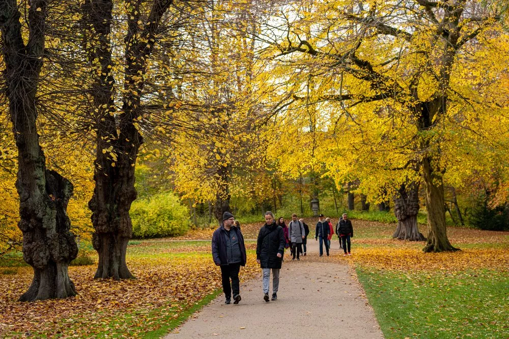 Mennesker går i park i efteråret