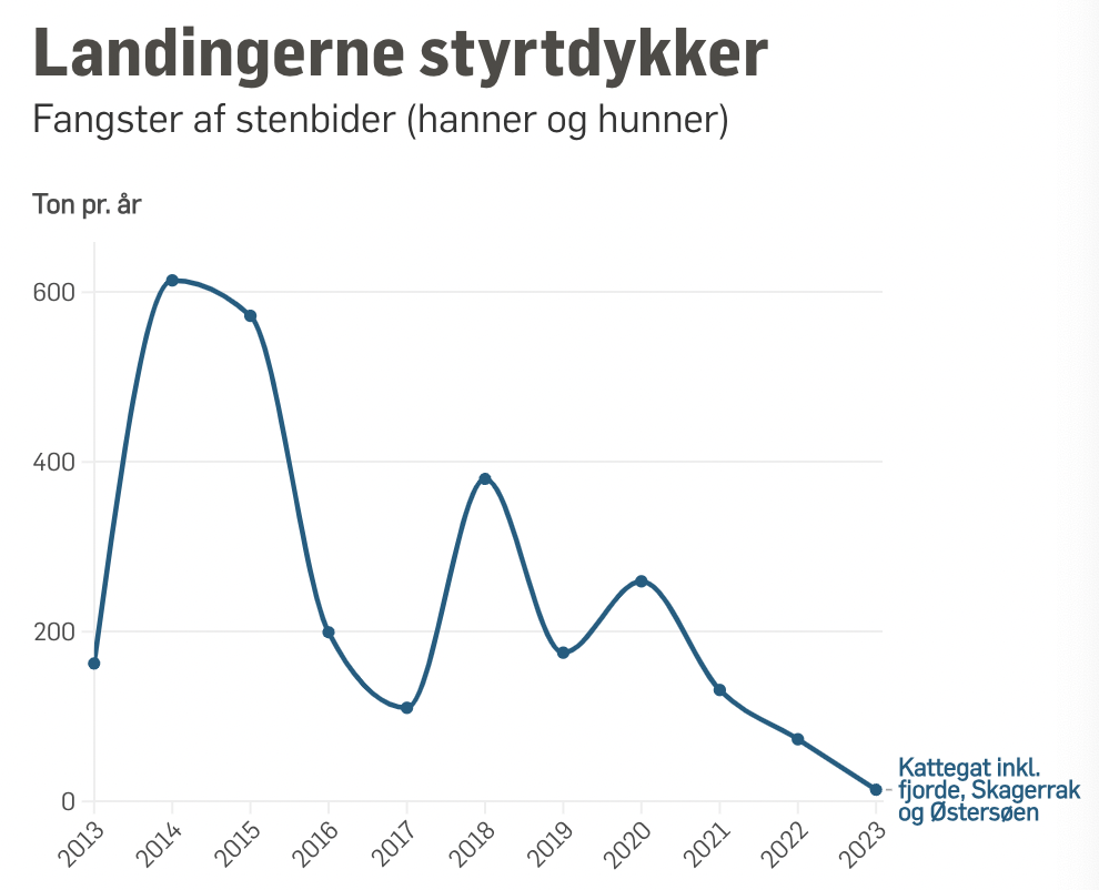 graf der viser nedgangen i stenbiderfiskeri