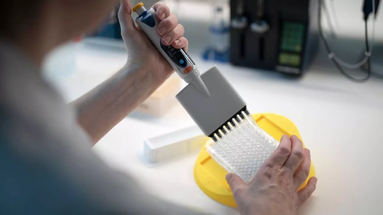 Forsker bruger multi-pipette i laboratorium
