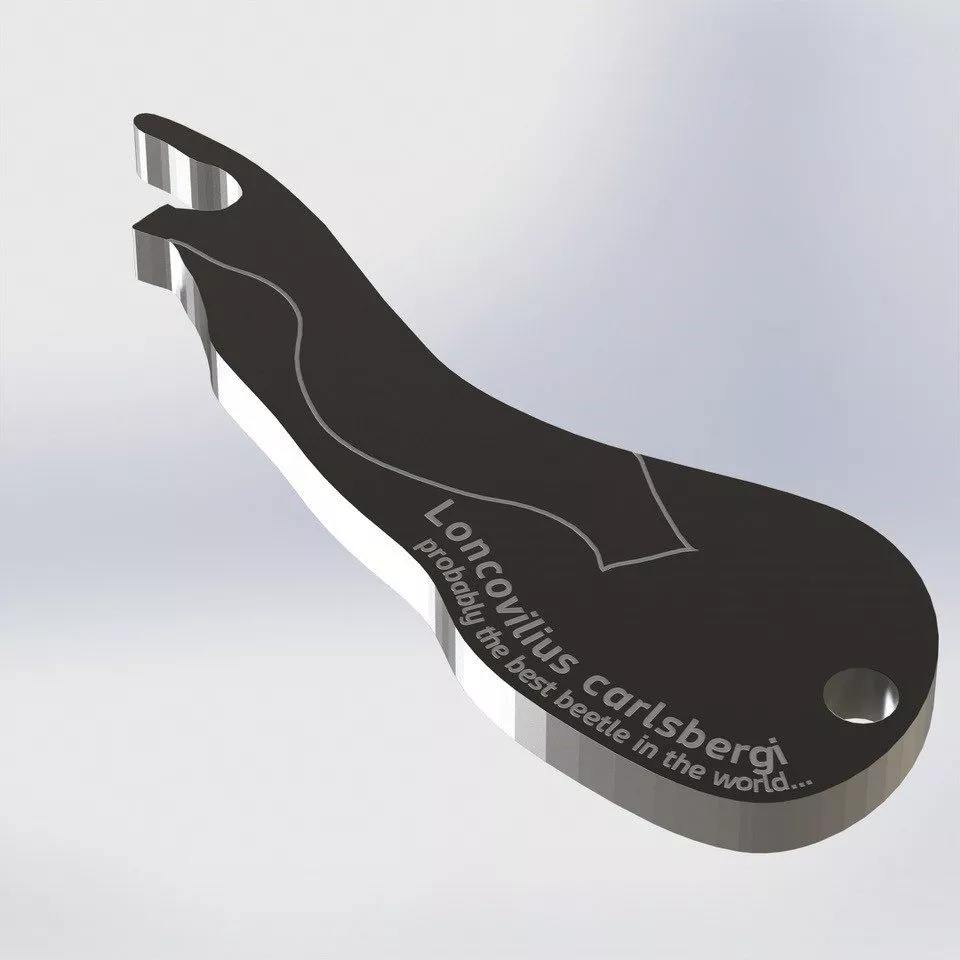 Rendering af rovbillen Loncovilius carlsbergis penis.