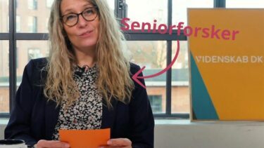 Tine Dalby ved Videnskab.dk, Seniorforsker