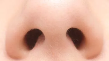 Næse up close med næsebor
