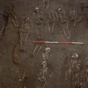 Skeletter i arkæologisk udgravning