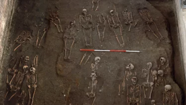 Skeletter i arkæologisk udgravning