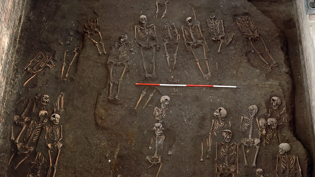 Skeletter i arkæologisk udgravning