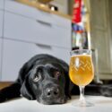 Hund ligger på gulvet ved siden af øl