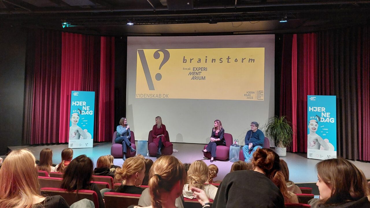 Brainstorm Live fra Experimentarium