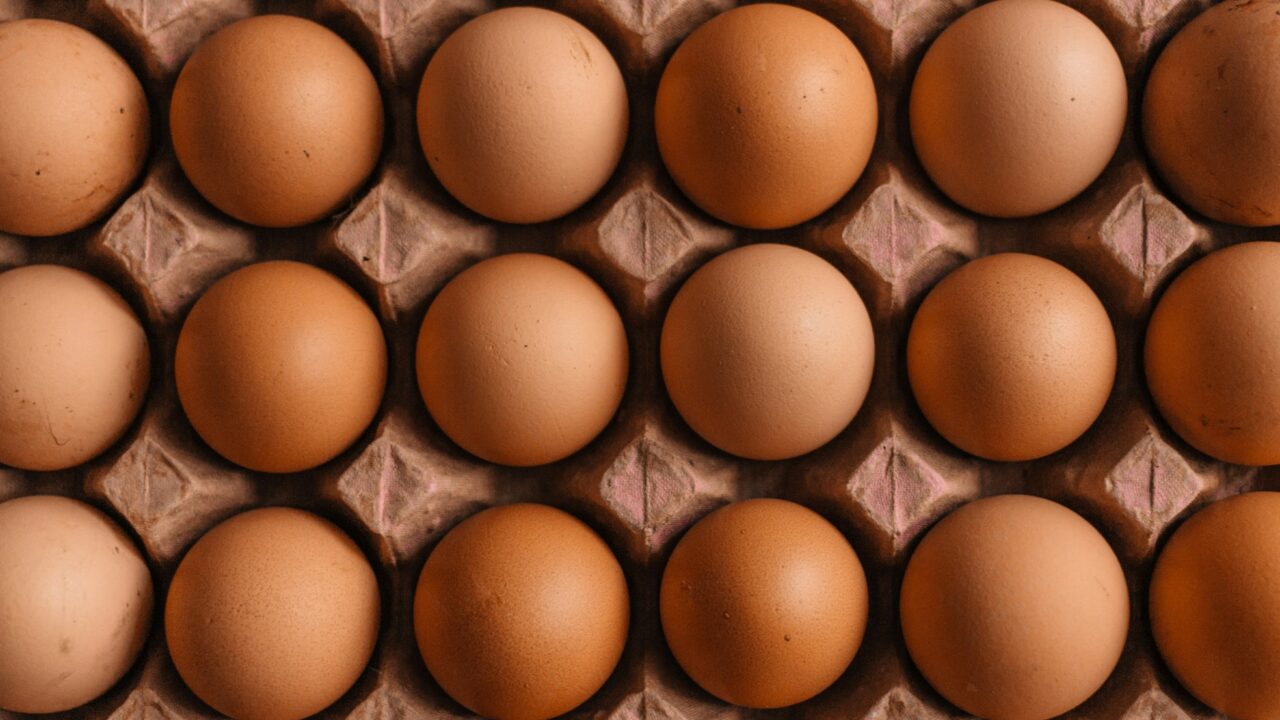 Æg