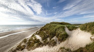 Sandklitter ved vesterhavet