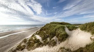 Sandklitter ved vesterhavet