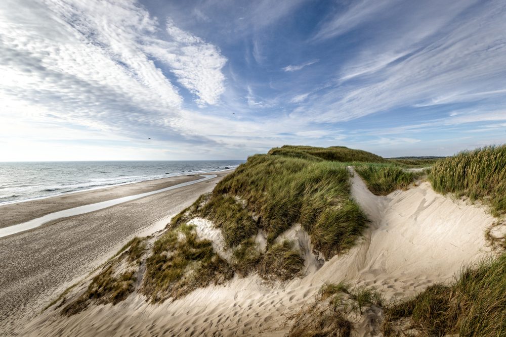 Sandklitter ved vesterhavet
