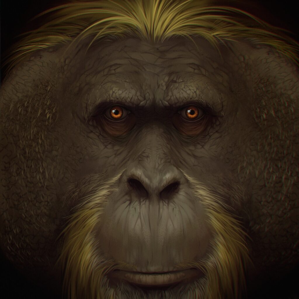 Illustration af G. Blackis ansigt