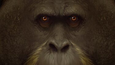 Illustration af G. Blackis ansigt