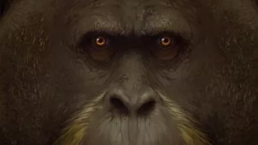 Illustration af G. Blackis ansigt