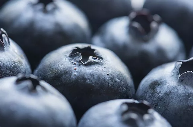 Closeup af blåbær