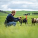 Mand sidder på en mark med en græstot i hånden