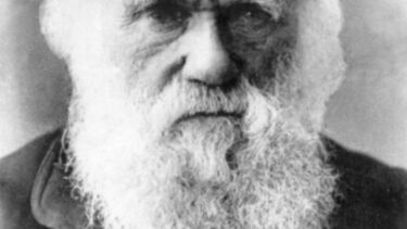 12. februar 2024 fylder Darwin 215 år.