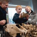 En dreng, en mand og en kvindelig museumsansat ser på knogler fra et dyr
