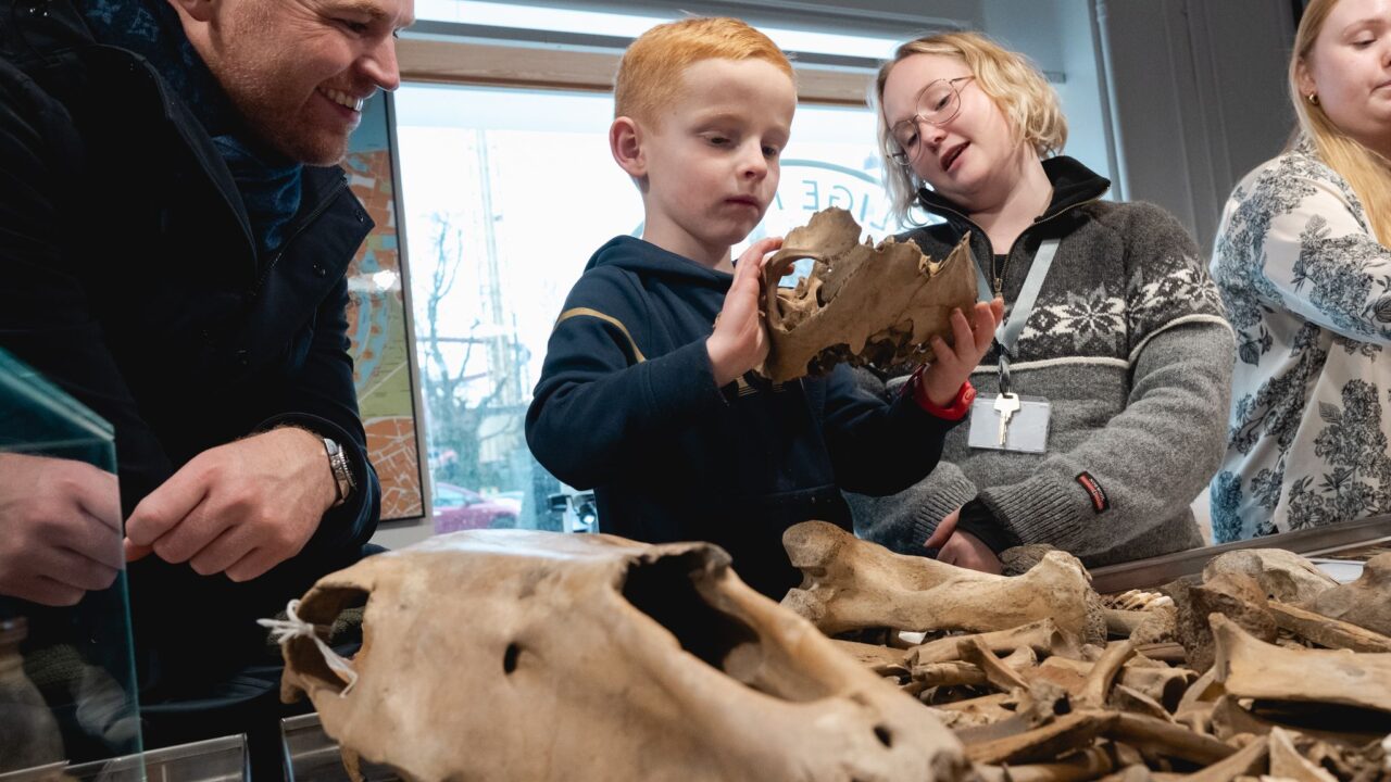 En dreng, en mand og en kvindelig museumsansat ser på knogler fra et dyr
