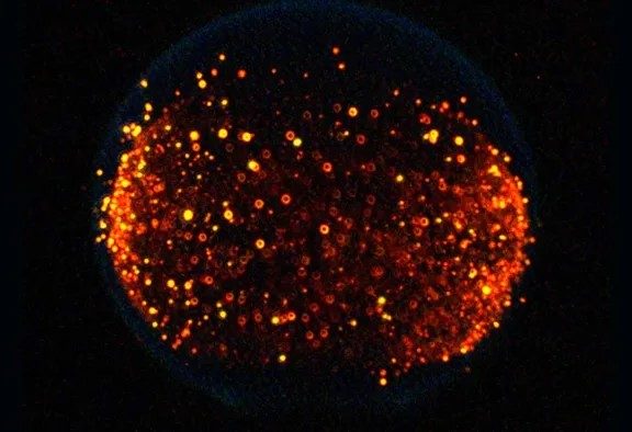 Flammer og klaser af sod fra et NASA-eskperiment.