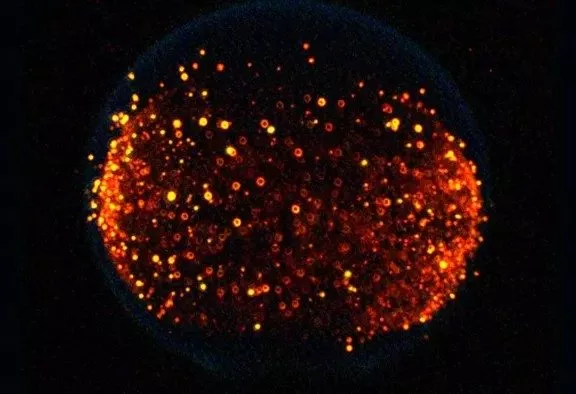 Flammer og klaser af sod fra et NASA-eskperiment.