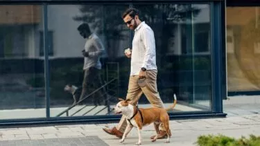 mand og hund