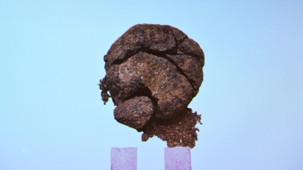 oldgammelt brød