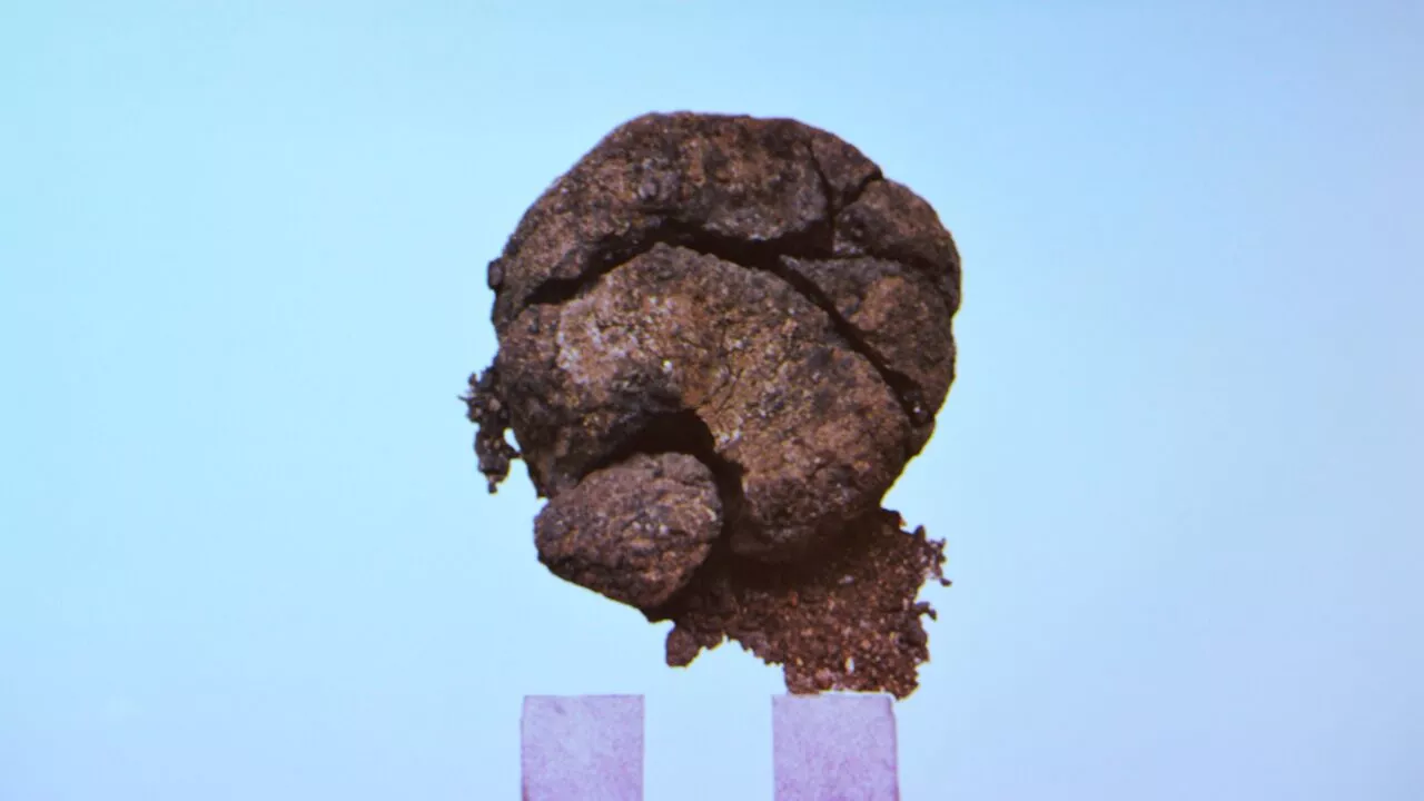 oldgammelt brød