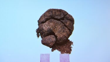oldgammelt brød