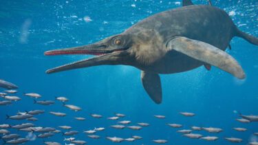 Iktyosaurer
