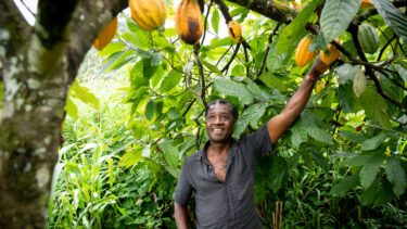 Afrikansk kakaobonde