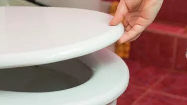 toilet