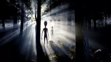 Slørede aliens i en skov som er oplyst af lys fra en UFO