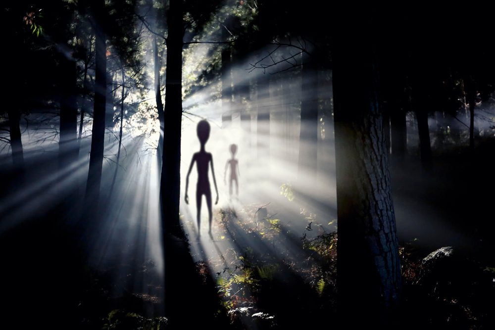 Slørede aliens i en skov som er oplyst af lys fra en UFO