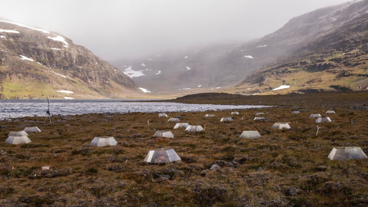 tundra i Sverige