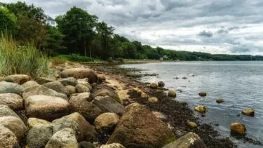 Vejle fjord