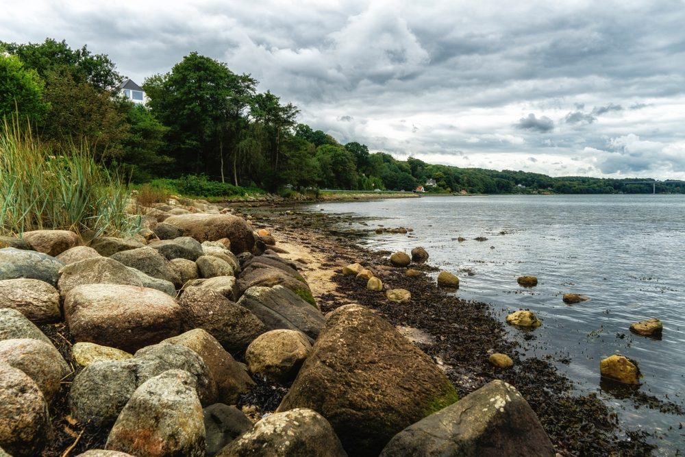 Vejle fjord