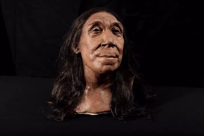 Et rekonstrueret ansigt af neandertalkvinde