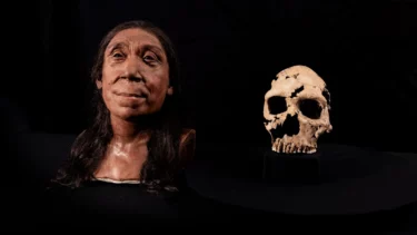 Et rekonstrueret ansigt af en neandertalkvinde og hendes kranie ved siden af