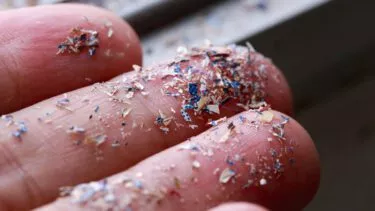 Mikroplast